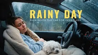 Gentle Rain & Distant Thunder for Deep Sleep &ndash; Relax Quickly, Calm Your Mind & Sleep Peacefully🌧️😴