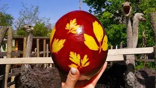 The Giant Easter Egg Natural Dyeing with Onion Skins! #Easter_holidays  #Ostrich_egg