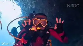 Amazing Dive in Biak Island