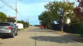 Calles Eklonia  Digenia