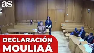 ELISA MOULIAÁ dijo al JUEZ que ERREJÓN actuó de forma 