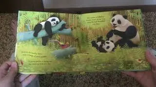 My Pop-Up Book Collection: Usborne Pop-Up Animals