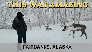 Winter Fairbanks Alaska | Running Reindeer Ranch & Ice Fishing Day 3 Vlog