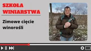 Zimowe cięcie winorośli - krok po kroku.