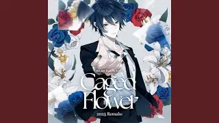 Caged Flower - 2025 Remake - (less vocal)
