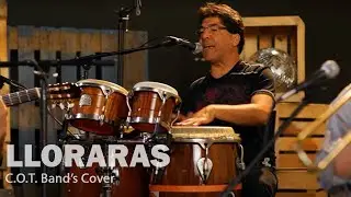 Llorarás - Willie Ziavino & COT Band - Salsa Music Atlanta, GA