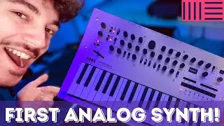 🎹🎧MAKING 🔥 BEATS WITH THE KORG MINILOGUE! (Making a Beat Ep. 10)🎧🎹