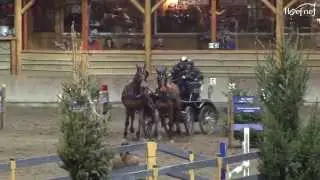 2 span paarden E.G.M. Indoor - Mencompetitie 2012-2013