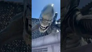 Alien: Earth installation for San Diego Comic-Con #sdcc2025