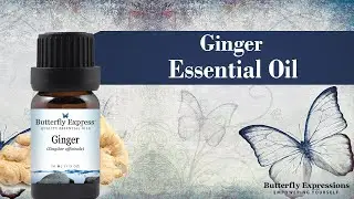 Ginger Essential Oil