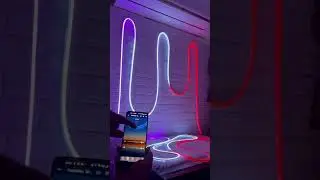 Умная светодиодная лента RGBIC Neon Flex | Многоцветная лента Chasing Dream Color, водонепроницаемая, IP67