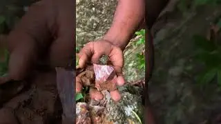 Is It Tin Ore? WOW Cracking This Metallic Rock Open!