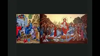 Lectionary Reflection | What is Palm Sunday all about?