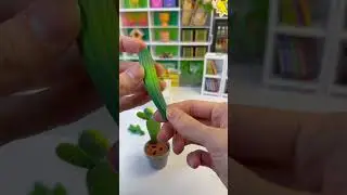 Mini Brands Secret Garden - Cactus #miniature #minibrands #zuruminibrands #zurutoys #shorts