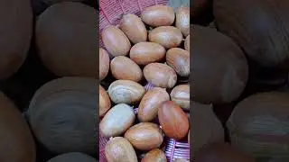 Really Creative Wood Egg Ideas