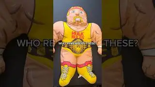 Who remembers WWF Wrestling Buddies? #wwf #wwe #wrestlingfigures #90skids #nostalgia