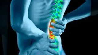 Lose The Back Pain - Is It Effective or Not Value For Money?