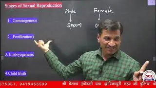stages of sexual reproduction//class 12 th