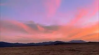 Laurel Canyon (Official Visualizer)
