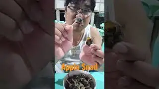 EATING EXOTIC FOOD || APPPLE SNAIL #shorts