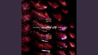 Immortal Killer (Original Mix)
