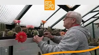Kakteenpracht made in Pfalzel: Das erstaunliche Züchtungsjahr 2022
