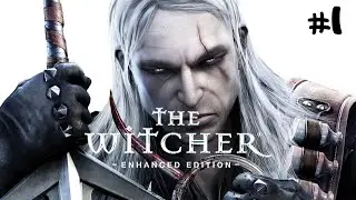 PERJALANAN GERALT OF RIVIA THE WITCHER DIMULAI !!- THE WITCHER 1 INDONESIA WALKTHROUGH (#1)