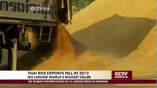 Export Lowering Government Subsidies Muffle Booming Thai Rice Production