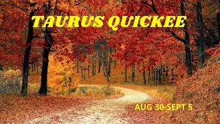 💋TAURUS QUICKEE💋~WEEKLY TAROT CARD READING AUGUST 30-SEPT 5 2020