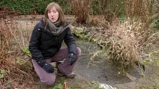 How to help wildlife in our gardens during the winter months | The RHS