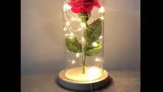 Enchanted LED Forever Rose