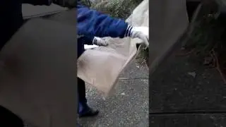 The Original Rake or Sweep In Bag
