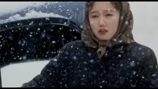 Snow Falling on Cedars (Racial Discrimination)