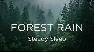 Soft Forest Rain &ndash; Deep Calm (Black Screen, 10 Hours) // Long-form ambient soundscape for sleep