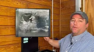 Equine Joint Health Discussion - Arthritis
