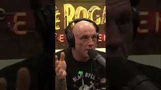 Joe Rogan & AI: The Tower of Babel is Happening?!