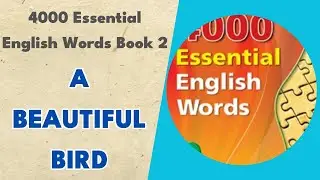 A Beautiful Bird - 4000 Essential English Words Book 2