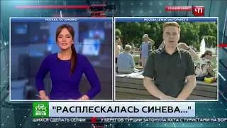 Ударил  корреспондента  НТВ  на день ВДВ ! Kick the face of Reporter from NTV !