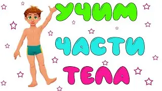 Части тела человека. Название частей тела человека для детей.