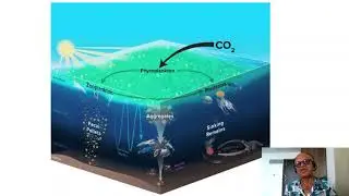 8   Ocean Twilight Zone's Role in Climate Change