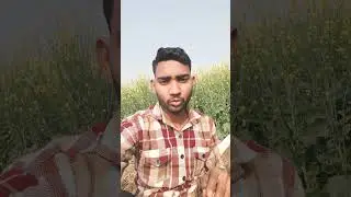 Keep high thinking 😉 #shorts #funny #viral