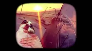 Mr. Bubz Sails Away (My Final Mr. Bubz Video.. Before I Changed My Mind)