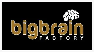 BIG BRAIN FACTORY VIDEO PROFILE