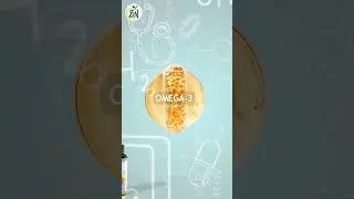 Omega-3 Benefits | Stronglife Nutrition | Boost Heart, Brain & Joint Health Naturally