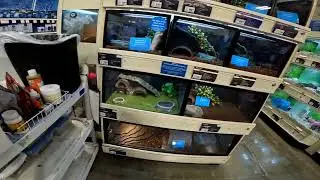Pet store walking tour Animals Adventure pet smart 펫 스토어 동물 구경