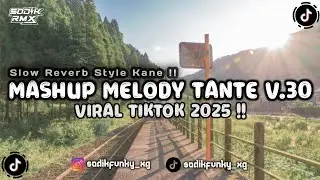 DJ MELODY TANTE CULIK AKU DONG X MASHUP ENAF KANE SLOW REVERB VIRAL TIKTOK 2026 !!