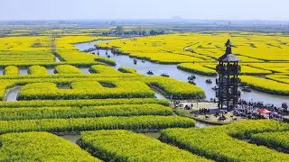Xinghua irrigation project contributes to environment, economy