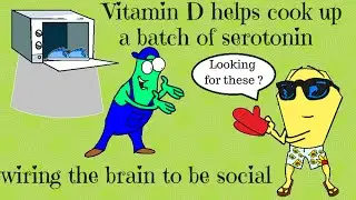 The connection between vitamin D and autism
