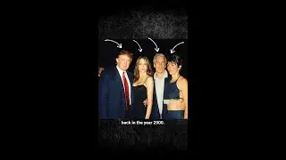 DNC Researcher Breaks Down Trump's Relationship With Epstein