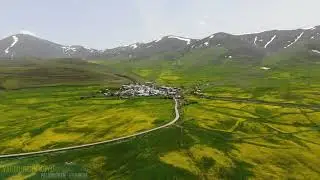 Düğünçiçeklerinden Görsel Şölen  |  Erzurum
